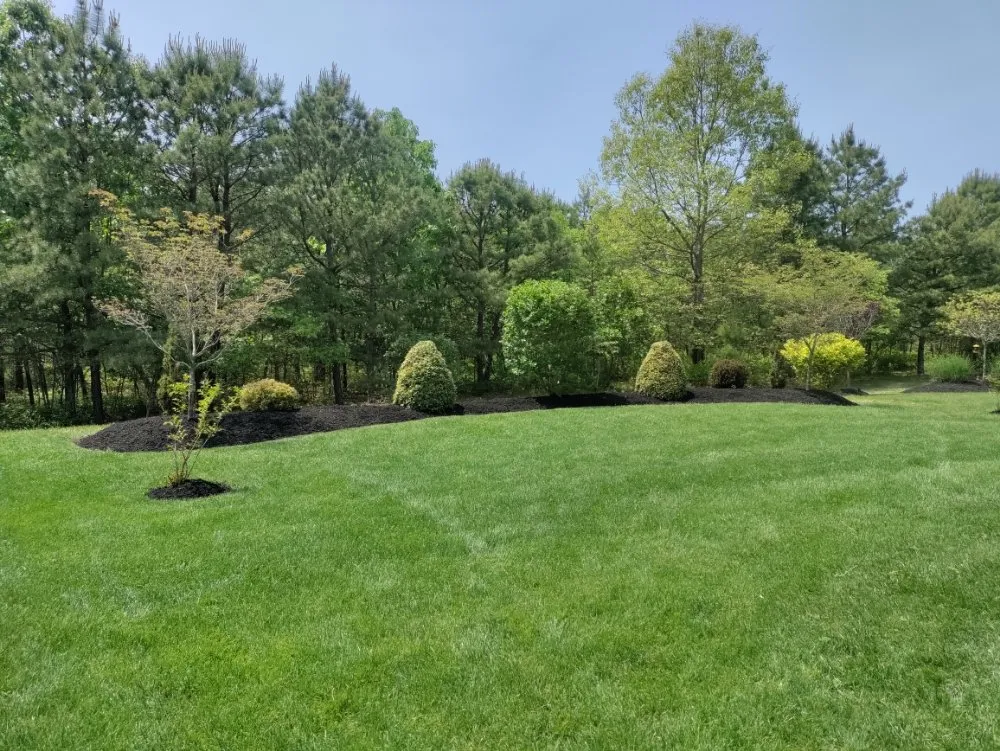 Affordable landscaping services in Cherry Hill, NJ by Jay Lawn Service
