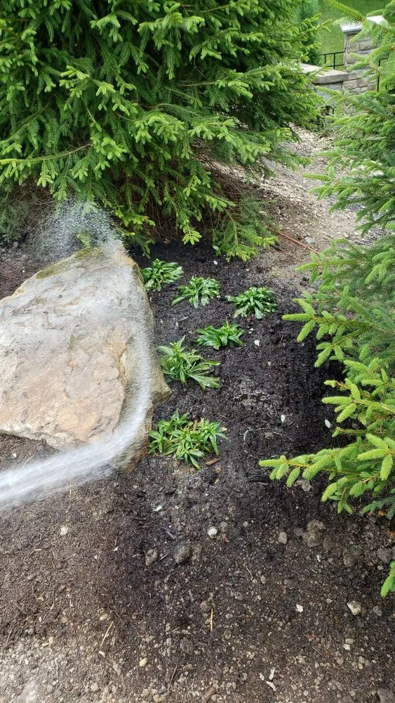 Affordable lawn care service near you in Tarentum, PA by Jay-O Lawn Care