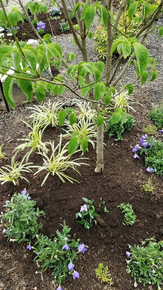 Affordable landscape installation for outdoor upgrades across Tarentum, PA - Jay-O Lawn Care