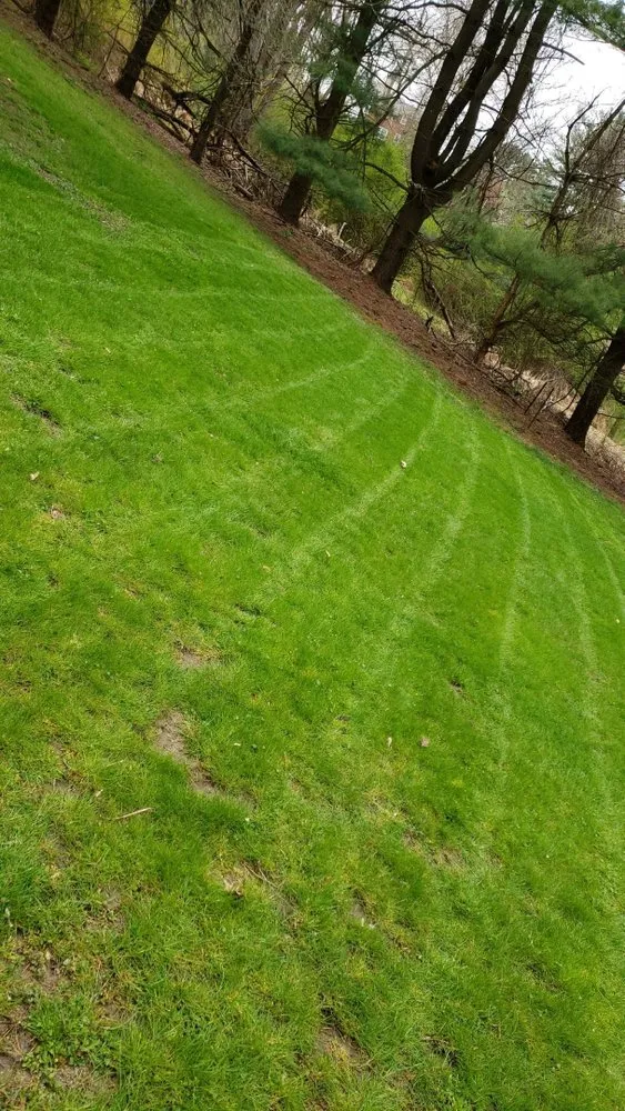 Top-rated lawn care service for year-round maintenance across Tarentum, PA - Jay-O Lawn Care