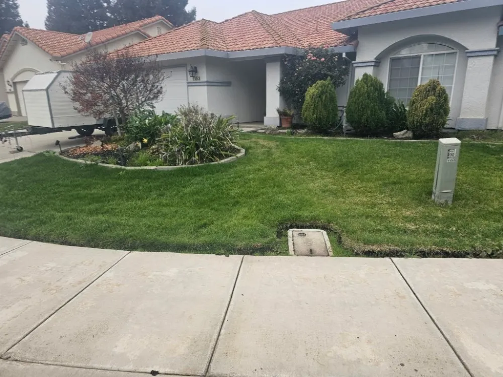 Top-rated outdoor landscaping experts serving Merced, CA - JAY-P