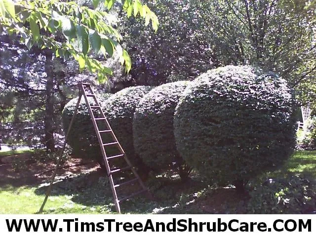 Professional landscape installation for homes across Penfield, NY - Jay Shorter Property Maintenance