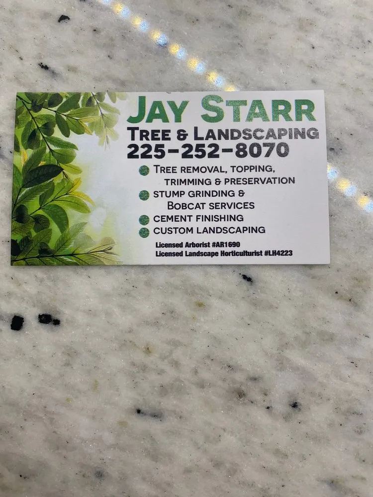 Expert landscape design for beautiful yards across Baton Rouge, LA - Jay-Starr Tree & Landscaping