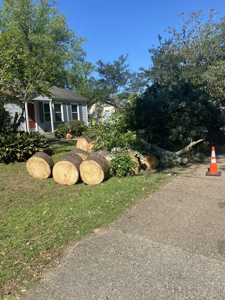 Professional residential landscaping in Baton Rouge, LA - Jay-Starr Tree & Landscaping