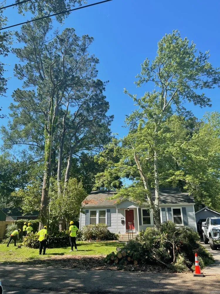 Reliable garden landscaping in Baton Rouge, LA - Jay-Starr Tree & Landscaping