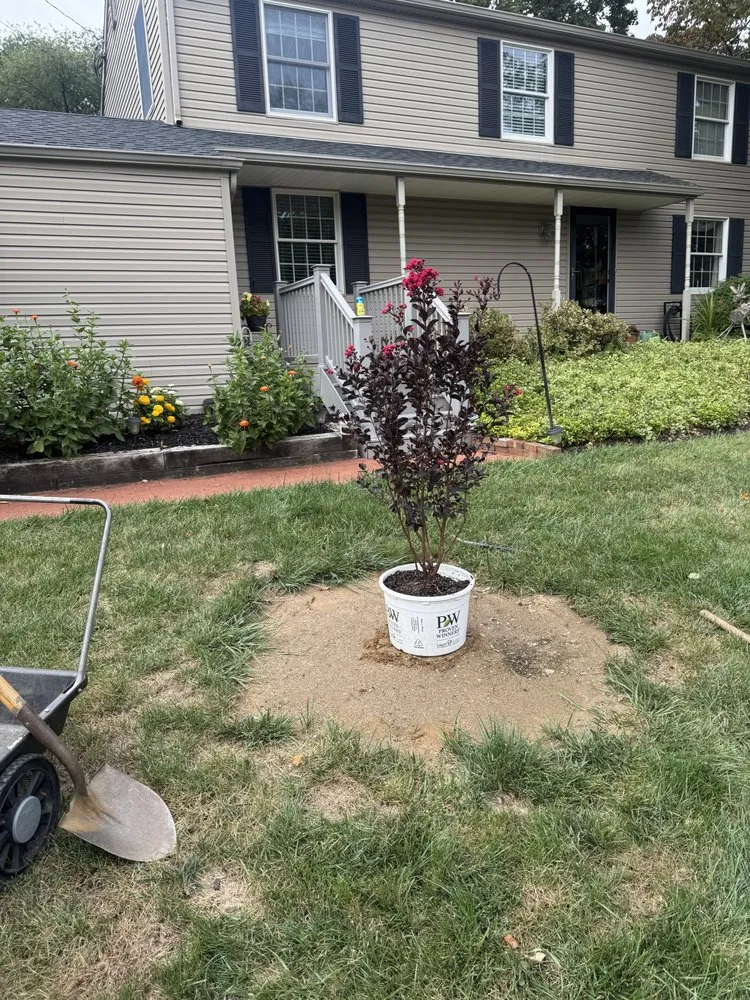 Professional yard cleanup service in West Chester, PA by Jay Tree and Landscape