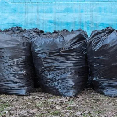 Reliable yard maintenance in Jacksonville, FL - Jay Wand Services