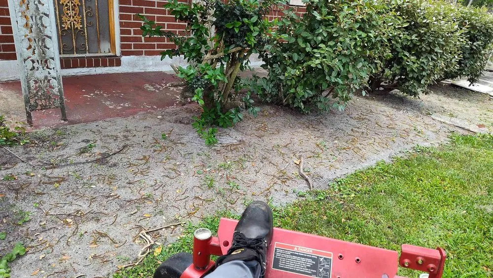 Top-rated yard cleanup service near you in Jacksonville, FL by Jay Wand Services