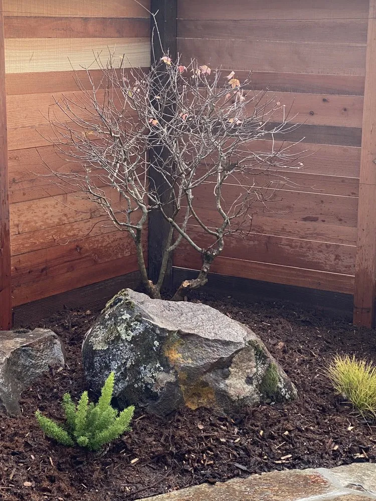 Affordable lawn care service for outdoor upgrades in Soquel, CA by Jay Welty Landscaping