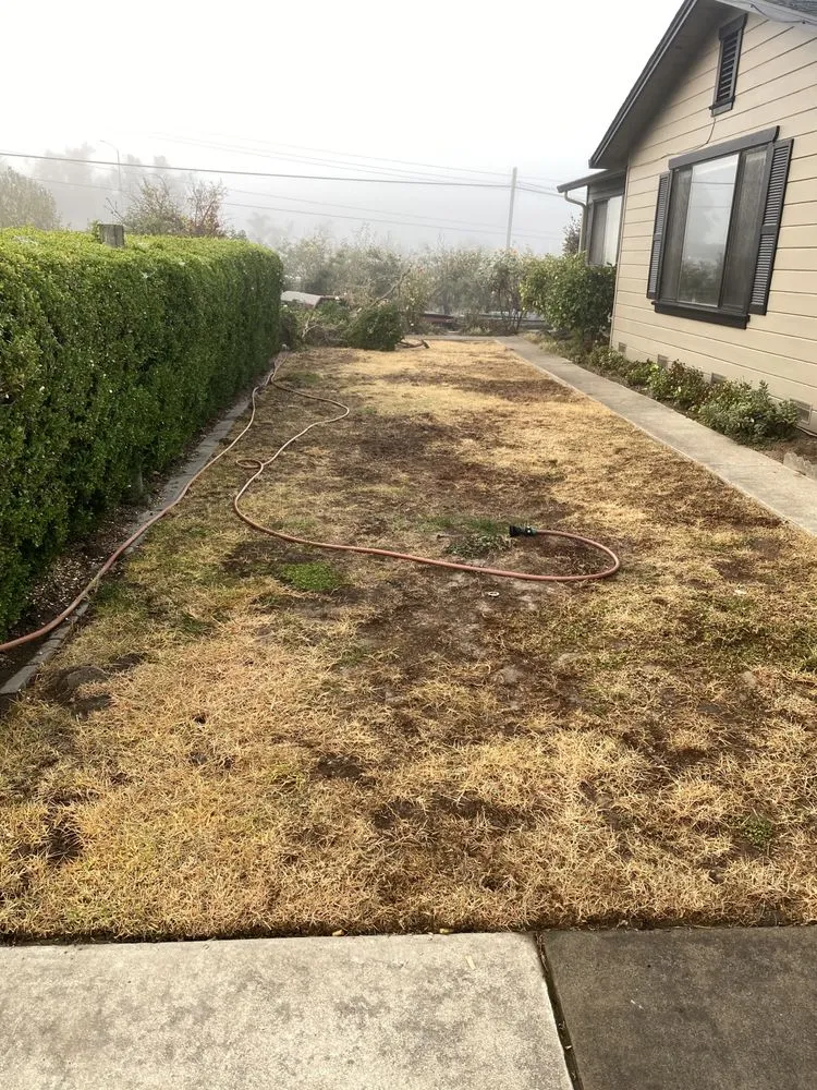 Reliable yard maintenance with custom design across Soquel, CA - Jay Welty Landscaping