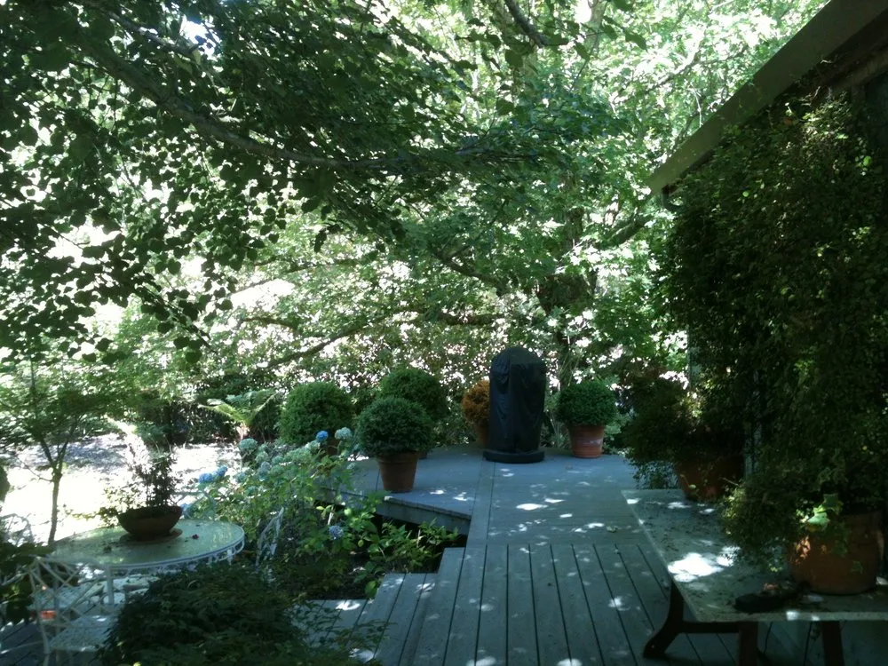 Expert lawn care service experts serving Soquel, CA - Jay Welty Landscaping