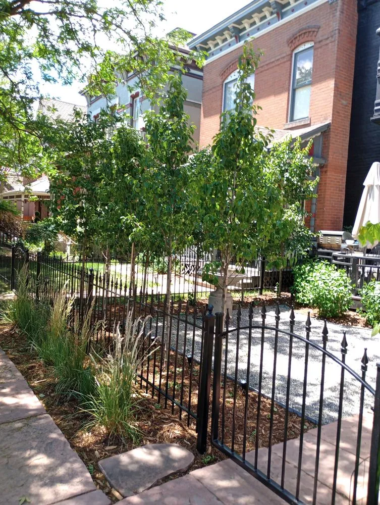 Top-rated lawn care service for outdoor upgrades across Colorado Springs, CO - Jaya Landscaping