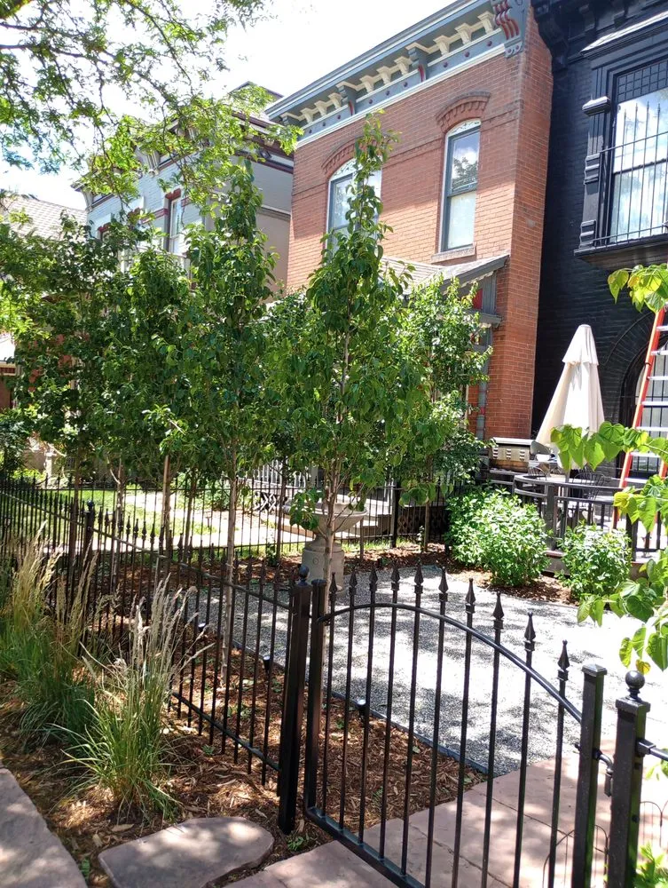 Local lawn care service experts serving Colorado Springs, CO - Jaya Landscaping