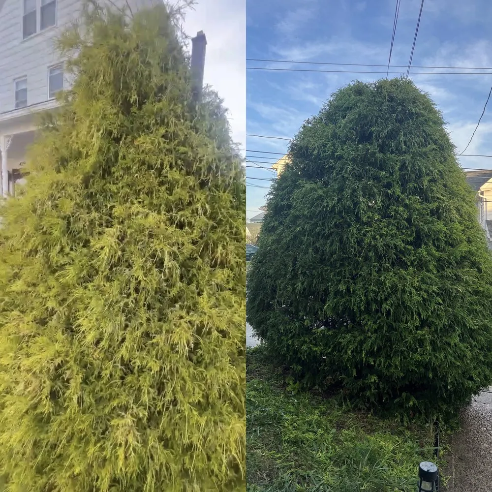 Trusted residential landscaping in Wilkes-Barre, PA - JayBee’s Landscaping.