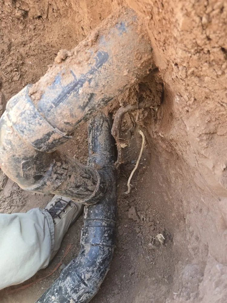 Custom landscaping services near you in Benson, AZ by Jaybird Handyman and Hauling