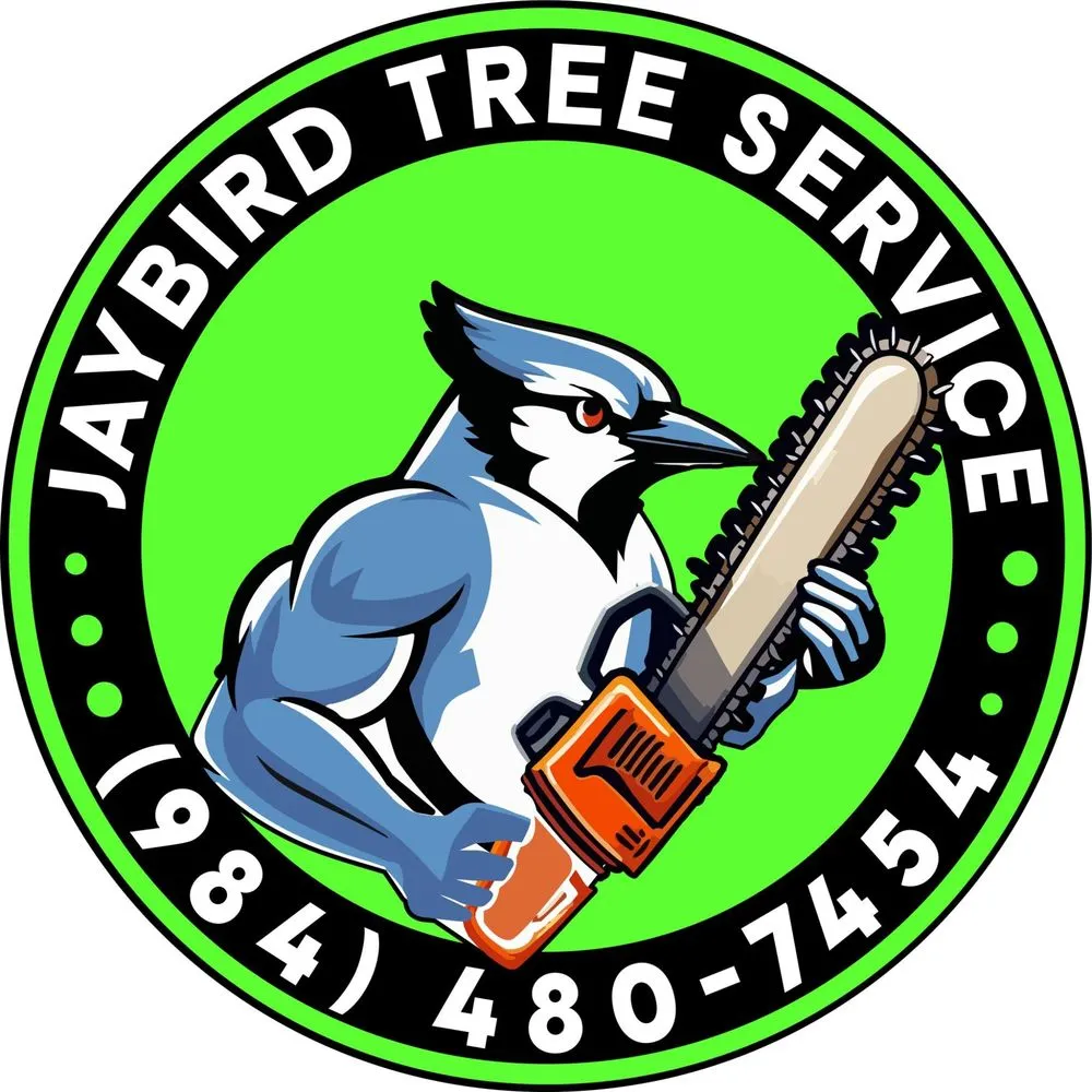 Reliable landscape design for year-round maintenance in Knightdale, NC by JayBird Tree Service