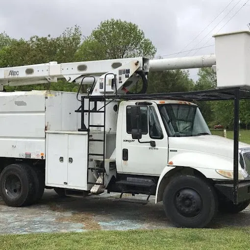 Reliable lawn care service for year-round maintenance in Knightdale, NC by JayBird Tree Service