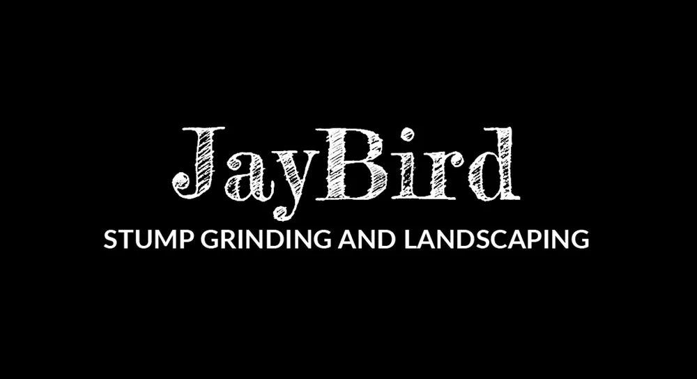 Reliable landscaping services in Knightdale, NC - JayBird Tree Service