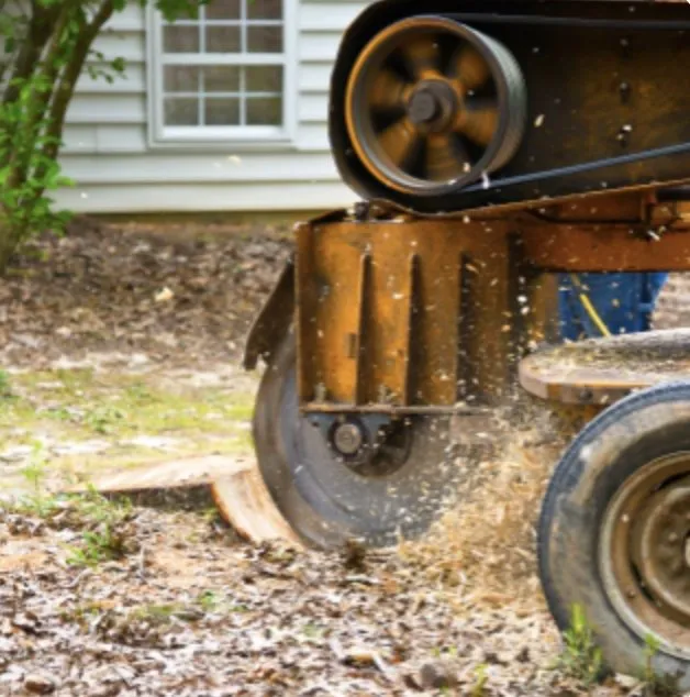 Local residential landscaping experts serving Knightdale, NC - JayBird Tree Service
