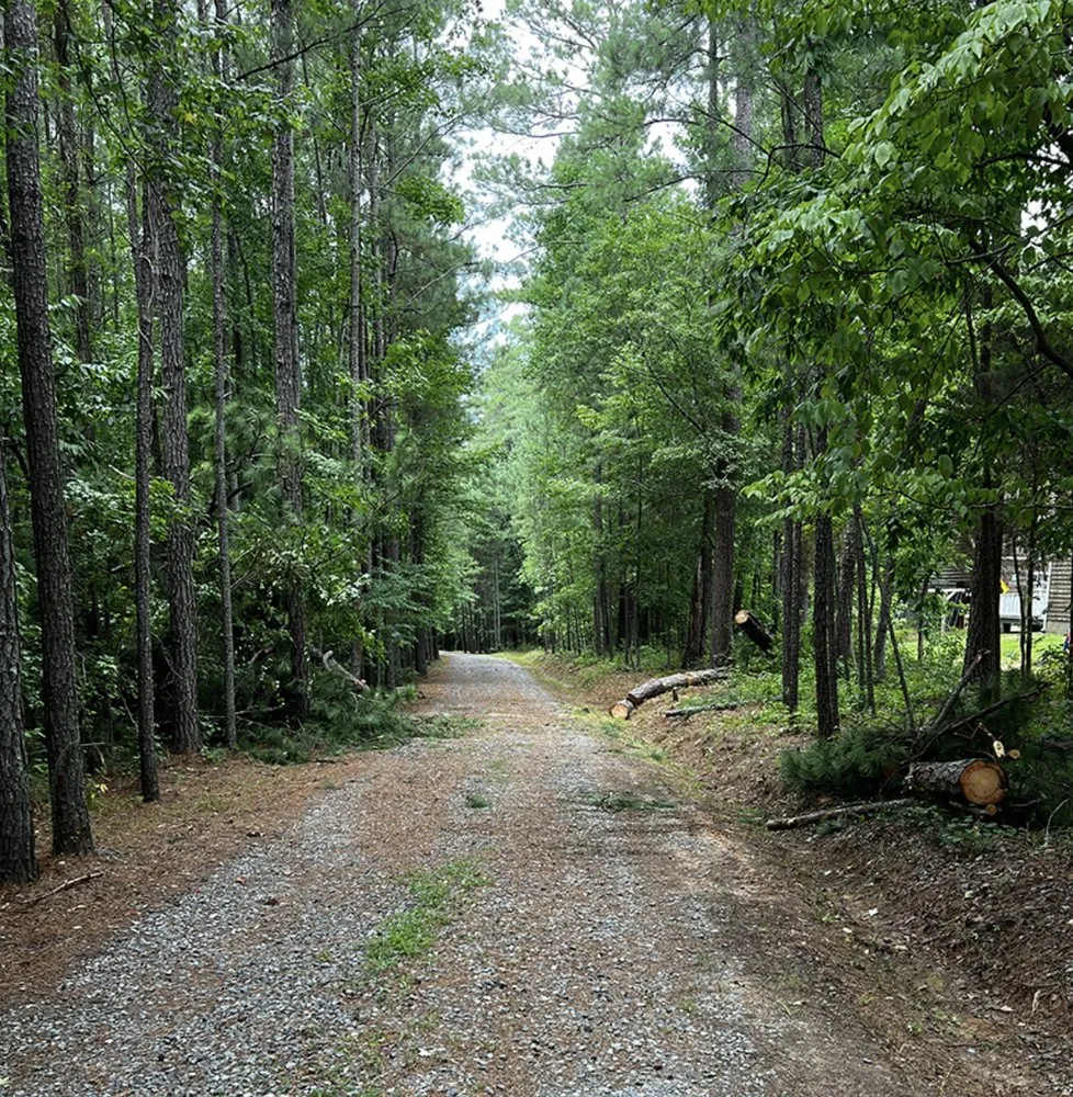Reliable landscape design in Knightdale, NC by JayBird Tree Service