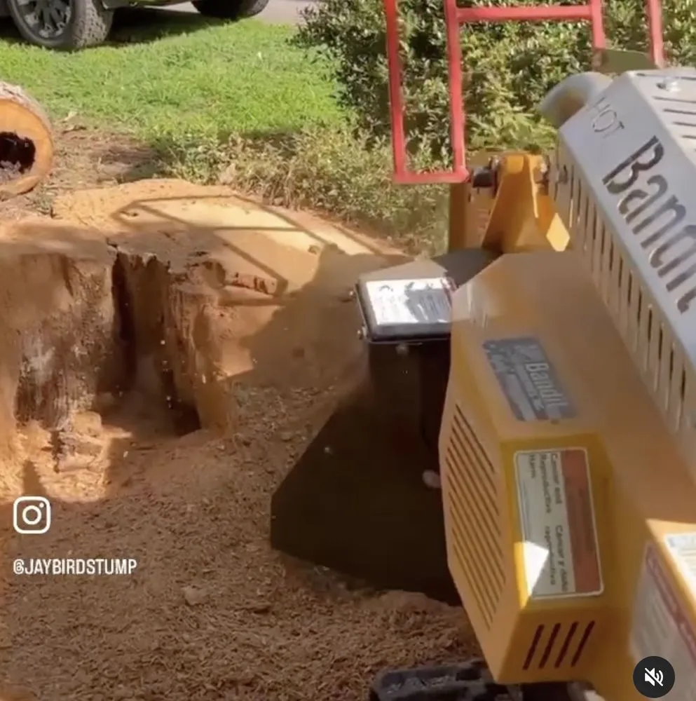 Expert lawn mowing service for residential properties across Knightdale, NC - JayBird Tree Service