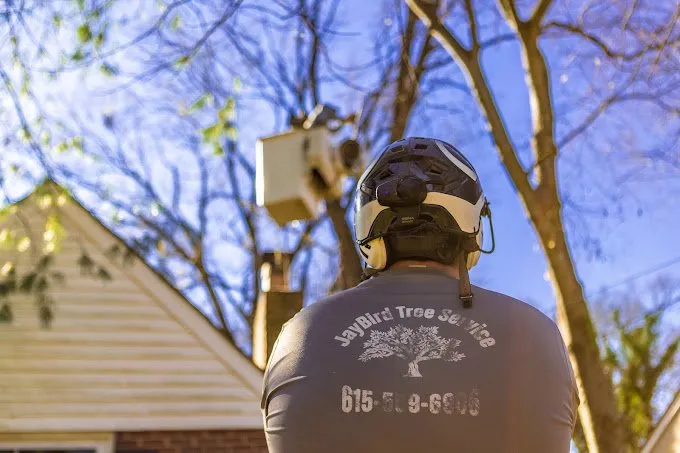 Trusted garden landscaping in Knightdale, NC by JayBird Tree Service