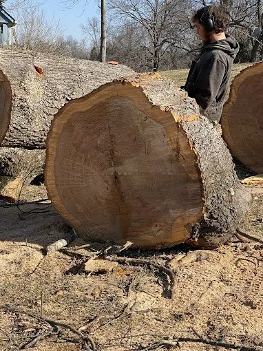 Trusted lawn care service experts serving Knightdale, NC - JayBird Tree Service