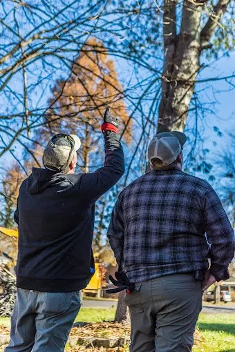Local landscape installation for residential properties across Knightdale, NC - JayBird Tree Service