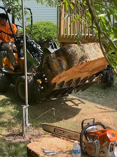 Expert lawn mowing service in Knightdale, NC - JayBird Tree Service