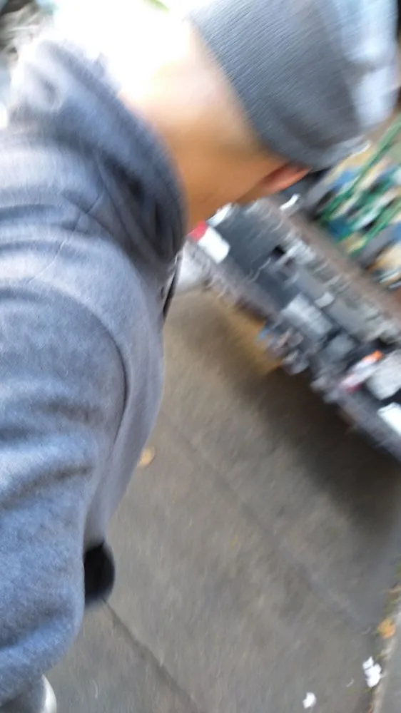 Local yard maintenance experts serving El Cerrito, CA - JayC Junk Removal