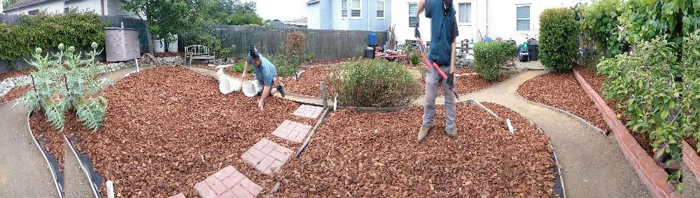 Trusted yard maintenance experts serving El Cerrito, CA - JayC Junk Removal