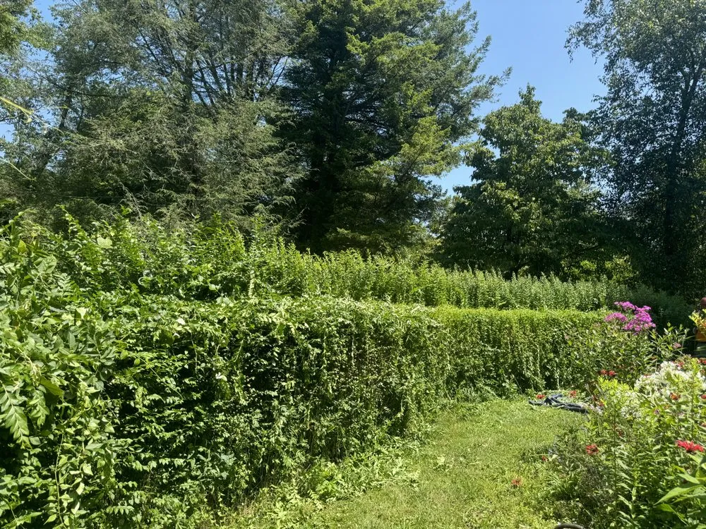 Top-rated lawn care service in New Canaan, CT by Jaycee Landscaping’s Home and Garden