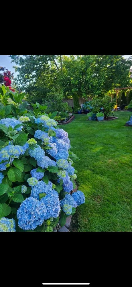 Affordable yard cleanup service for outdoor upgrades in New Canaan, CT by Jaycee Landscaping’s Home and Garden