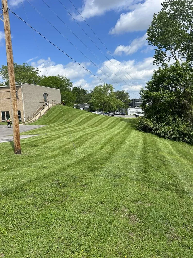 Local yard cleanup service for outdoor upgrades in Cincinnati, OH by Jayco Landscaping Service