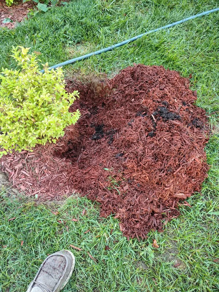 Top-rated landscape installation experts serving Cincinnati, OH - Jayco Landscaping Service