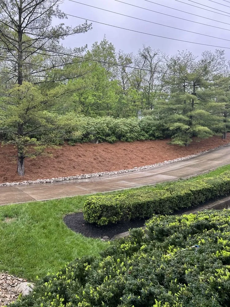 Professional lawn care service in Cincinnati, OH by Jayco Landscaping Service
