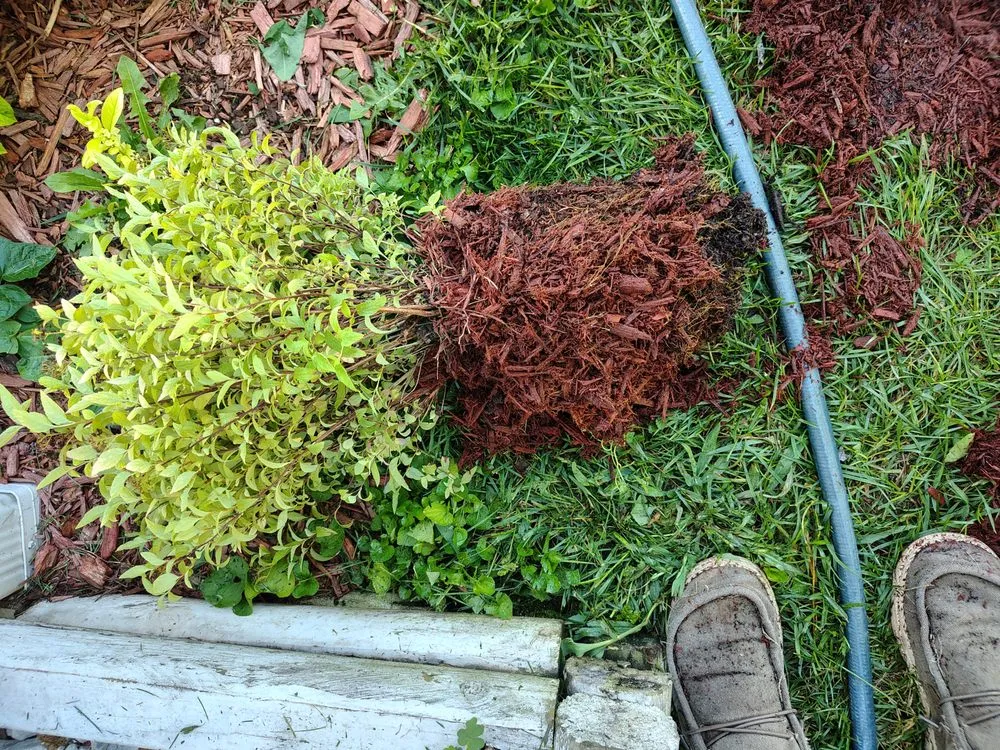 Professional garden landscaping in Cincinnati, OH by Jayco Landscaping Service