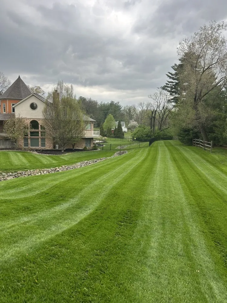 Professional yard maintenance in Cincinnati, OH by Jayco Landscaping Service