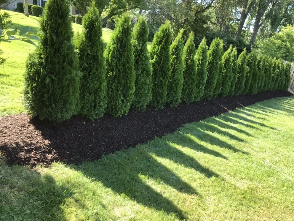 Professional landscape installation experts serving METRO, MI - Jayco Landscaping Snow & Maintenance Services