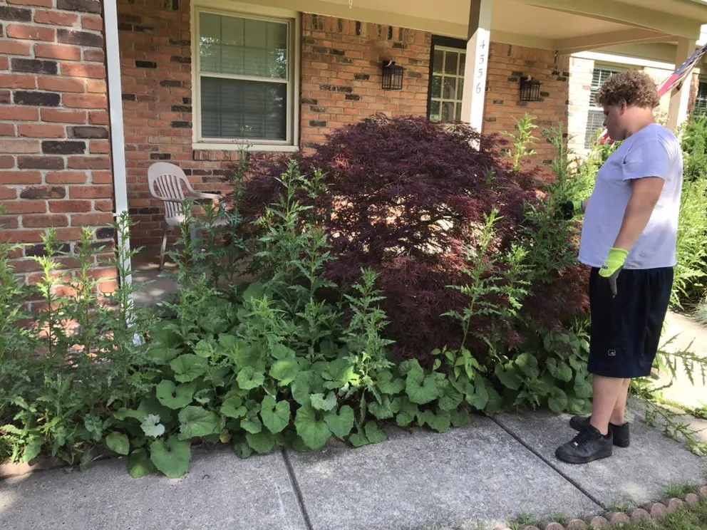 Affordable garden landscaping with custom design in METRO, MI by Jayco Landscaping Snow & Maintenance Services