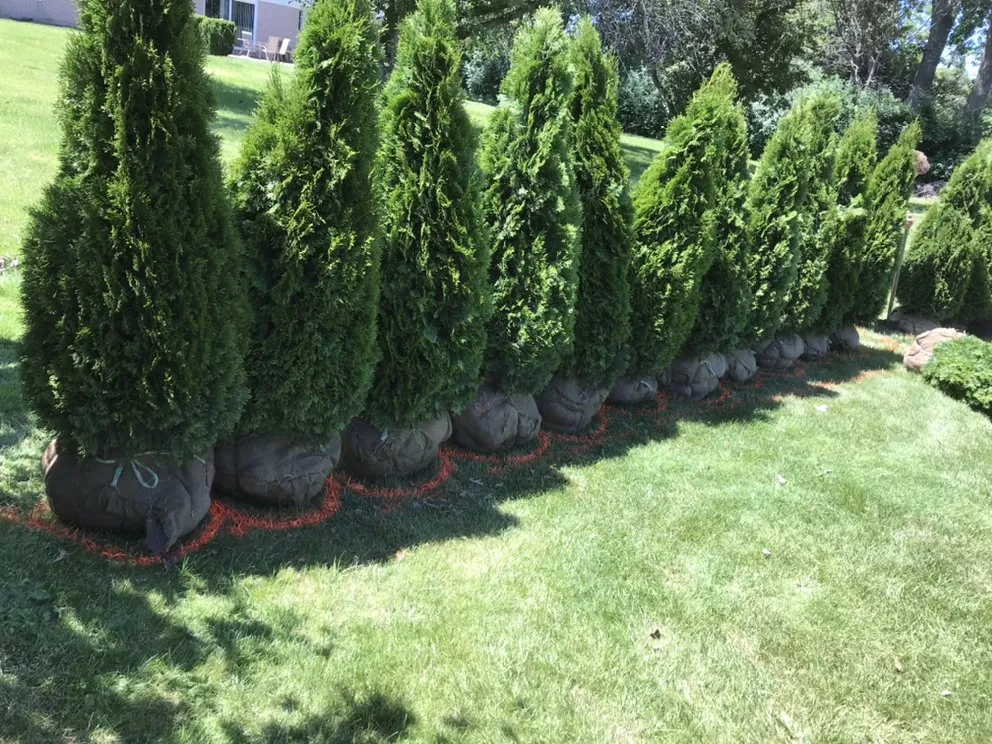 Expert landscape installation near you in METRO, MI by Jayco Landscaping Snow & Maintenance Services