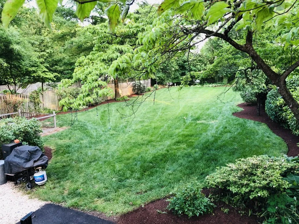 Top-rated yard cleanup service in Trenton, NJ - Jayden Landscaping