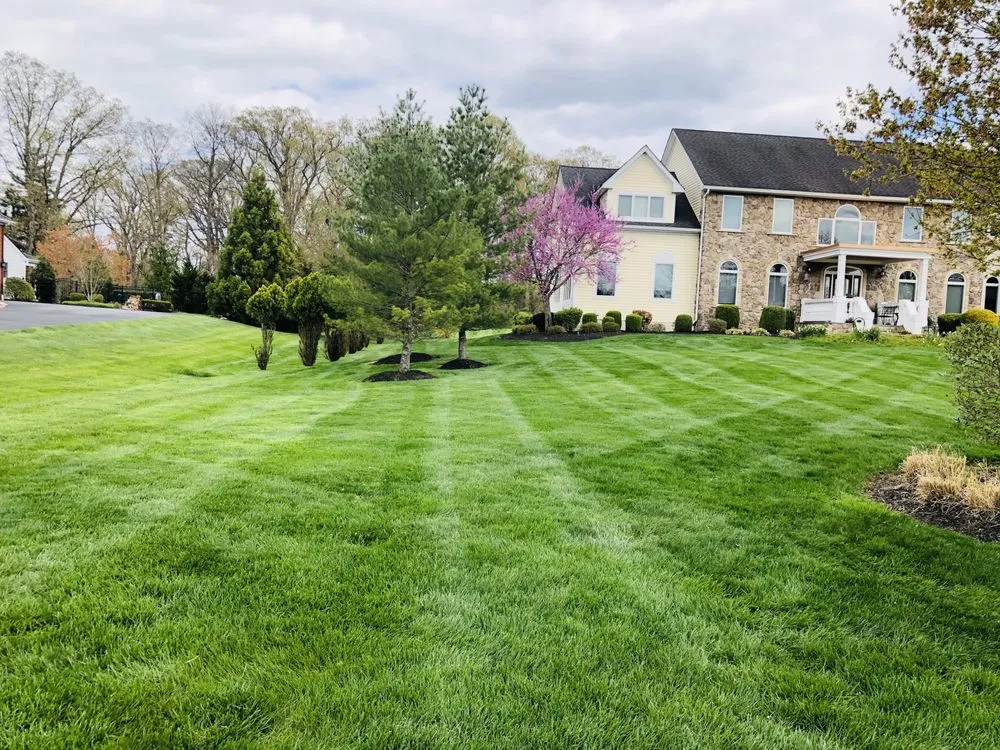 Trusted yard cleanup service for beautiful yards across Trenton, NJ - Jayden Landscaping
