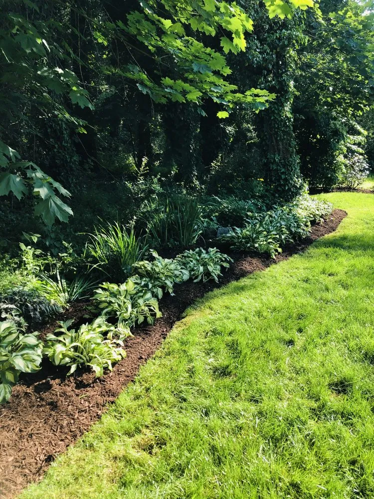 Trusted lawn care service in Trenton, NJ by Jayden Landscaping
