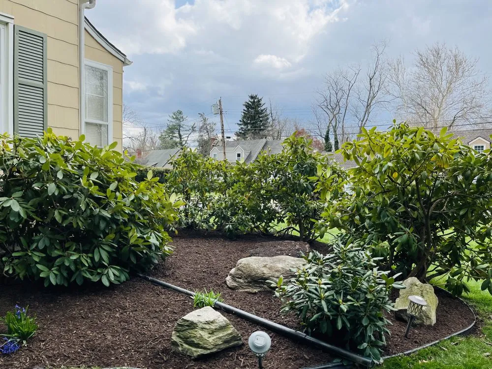 Top-rated lawn care service in Trenton, NJ - Jayden Landscaping