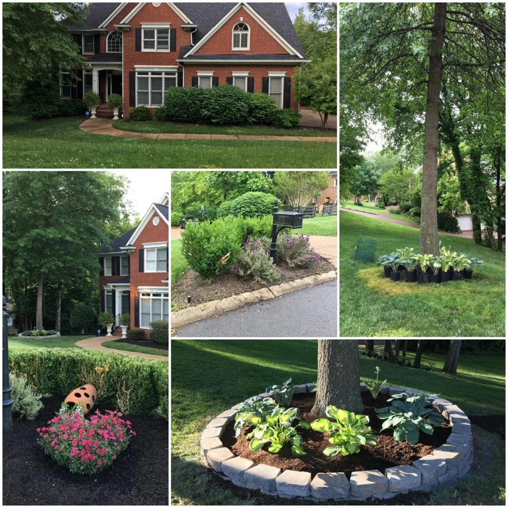 Expert yard cleanup service in Murfreesboro, TN by Jayla's Landscaping