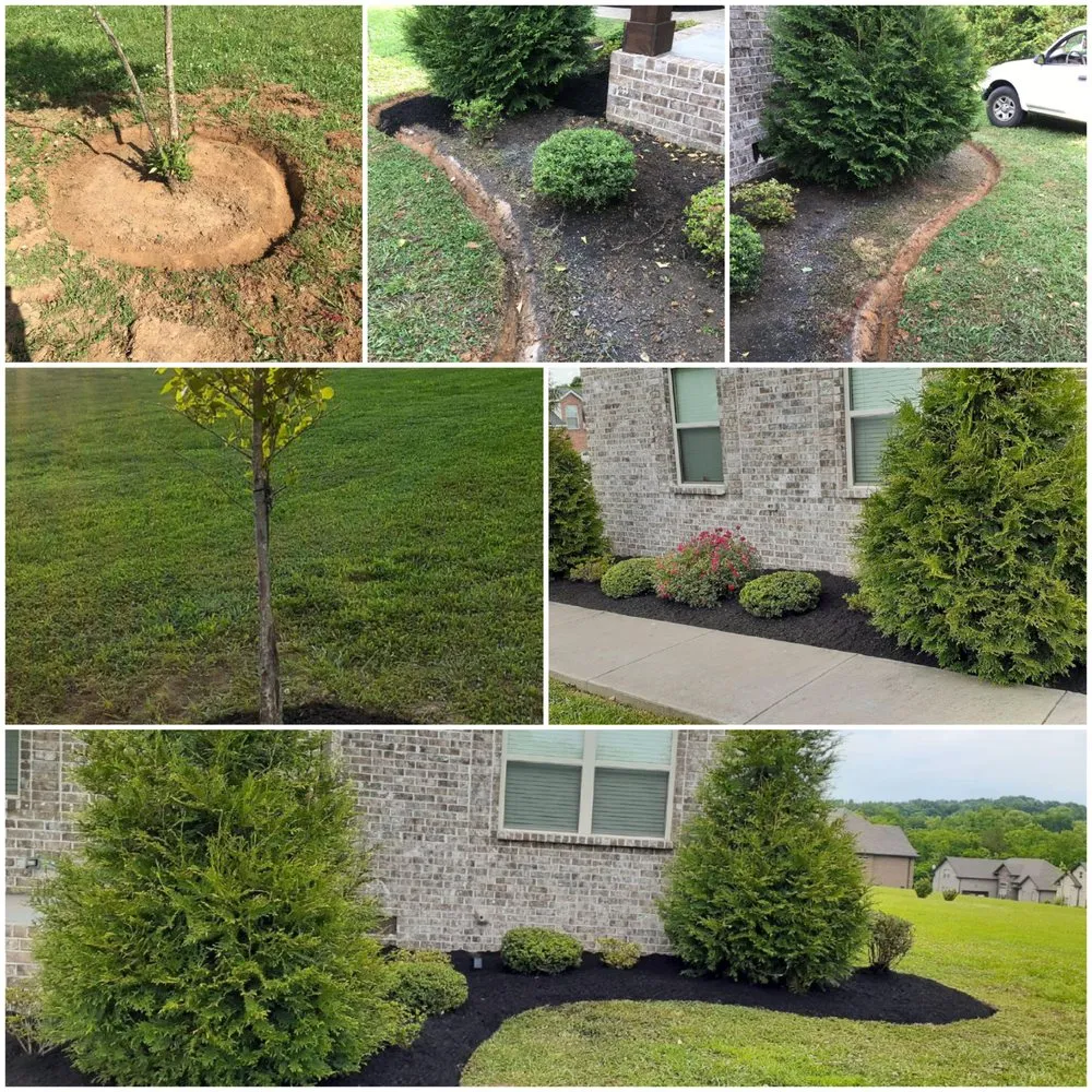 Reliable landscaping services in Murfreesboro, TN by Jayla's Landscaping