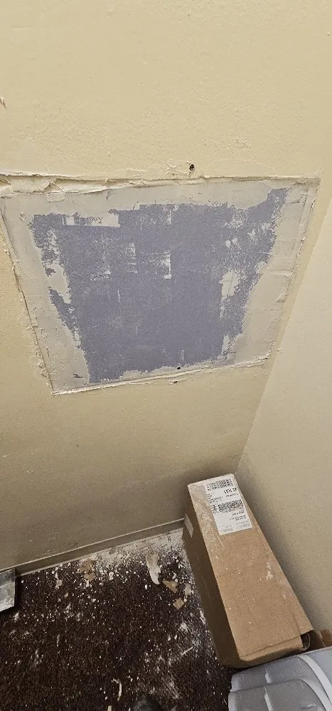 Professional yard cleanup service in Albany, NY - Jaymac General Labor