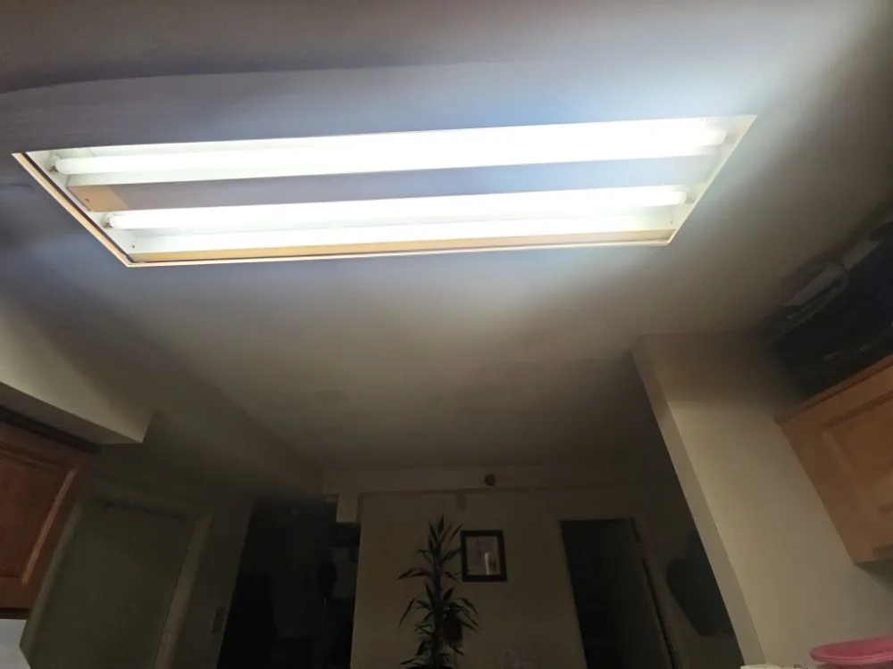 Reliable landscaping services in Albany, NY - Jaymac General Labor