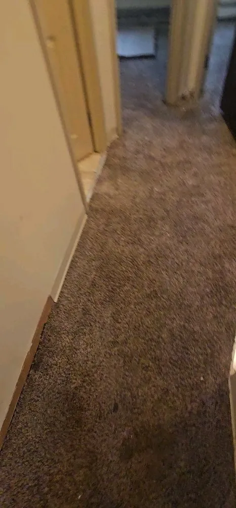 Affordable lawn mowing service for year-round maintenance in Albany, NY by Jaymac General Labor